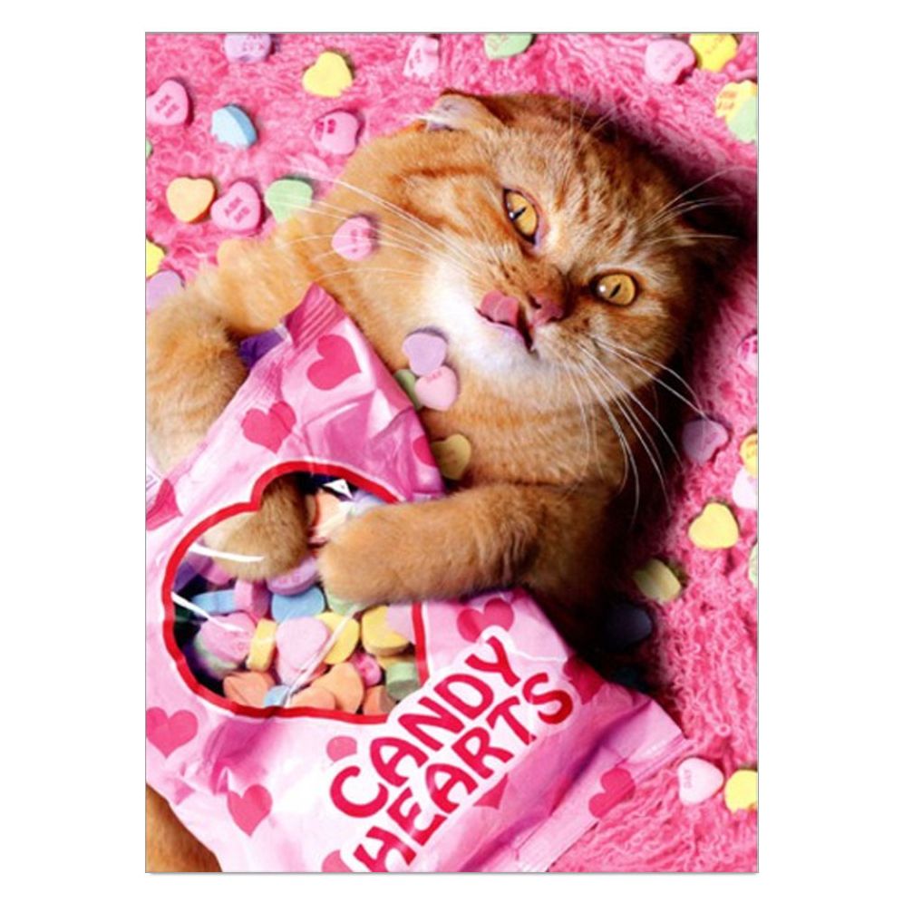 Sweetheart Cat Valentine's Day Greeting Card