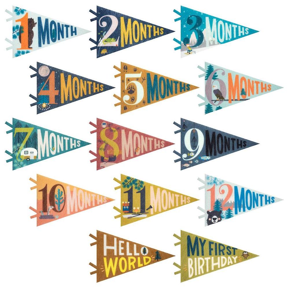 Little Camper Monthly Pennants