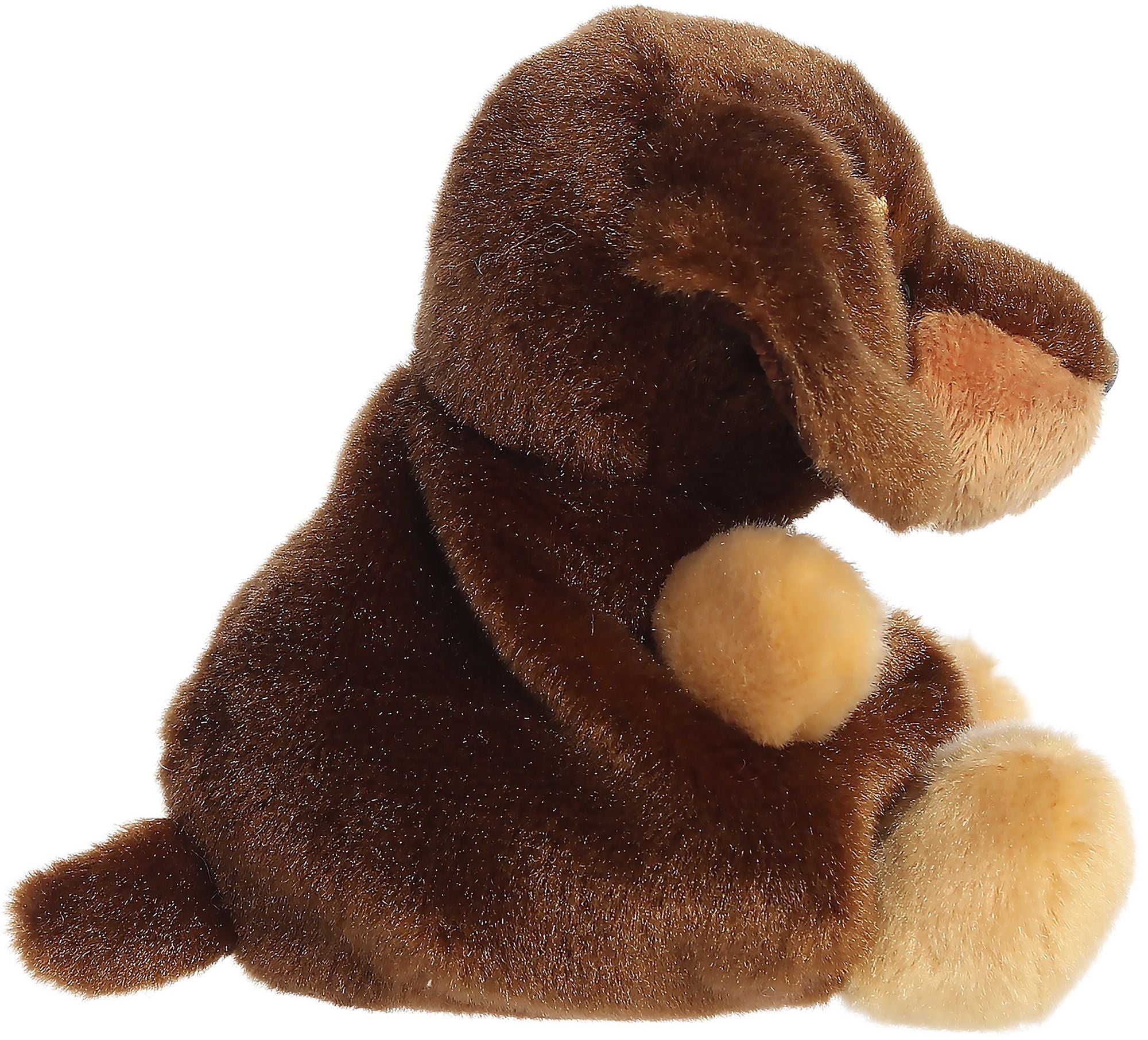 Houdini Dachshund 5" Palm Pals