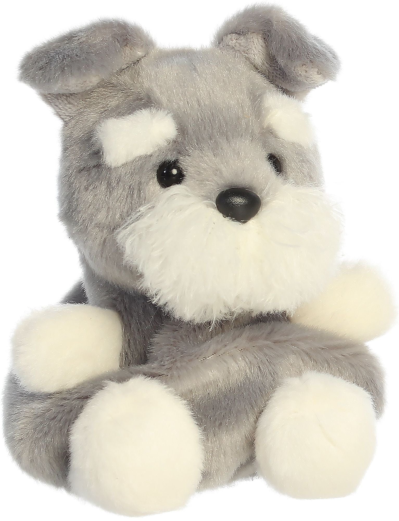 Korra Schnauzer 5