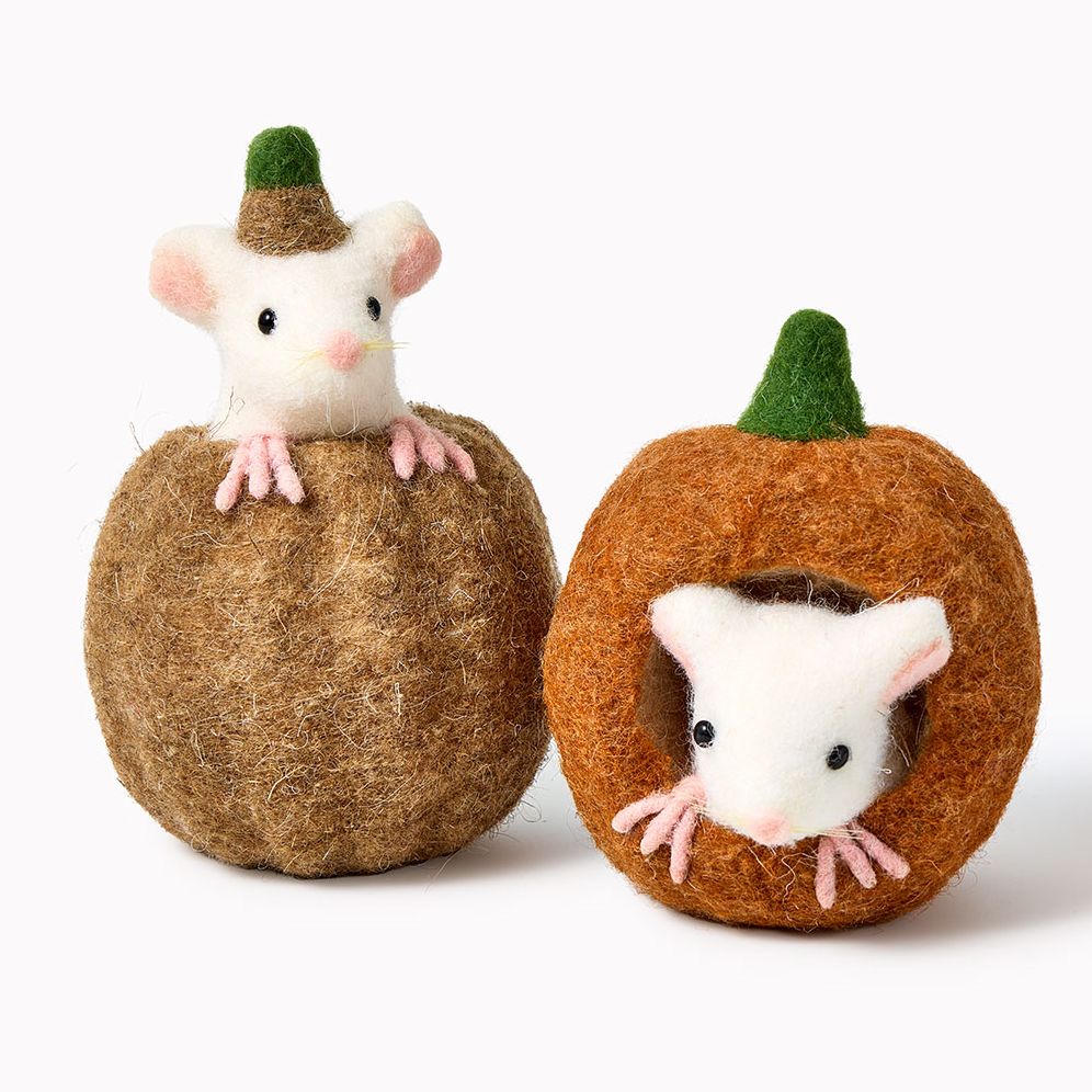 Wool Pumpkin with Mouse, 2 Assorted