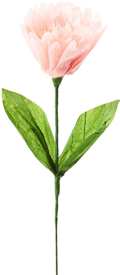 Blush Dahlia Paper Flower