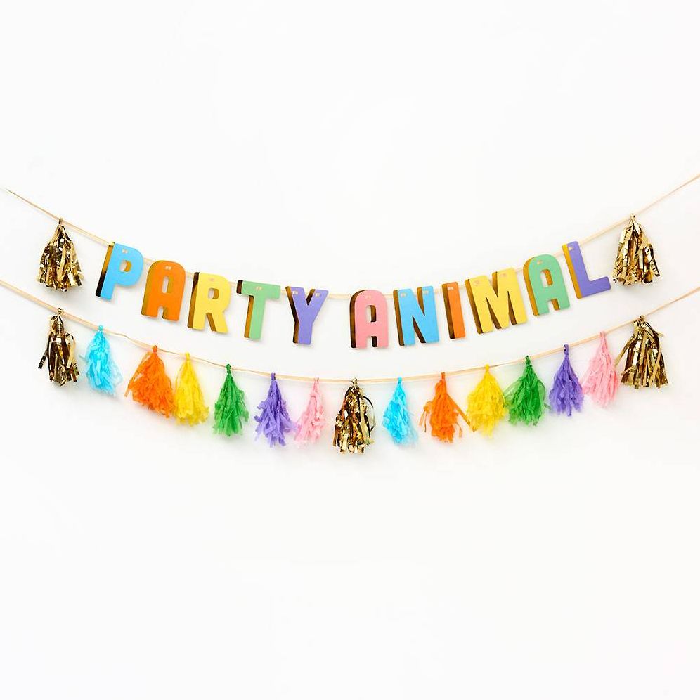 Balloon Party Animal Tassel Banner