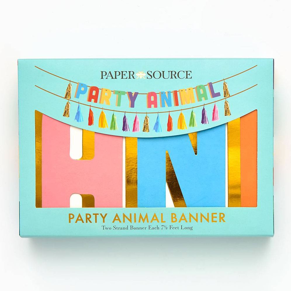 Balloon Party Animal Tassel Banner