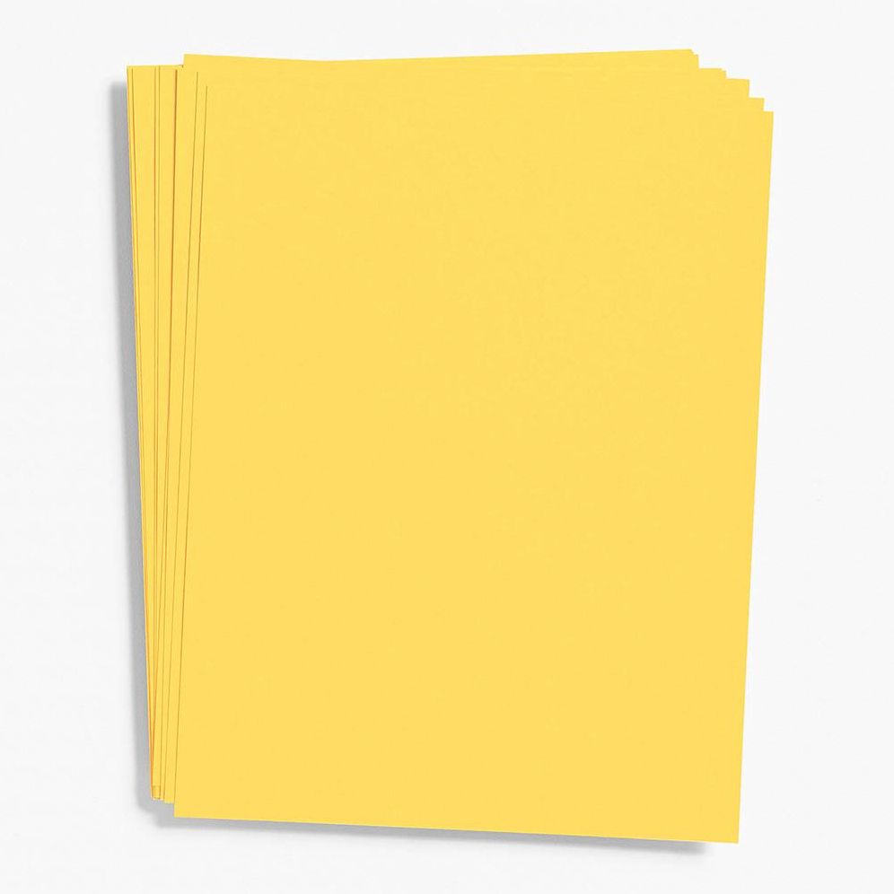 Curry Paper 8.5