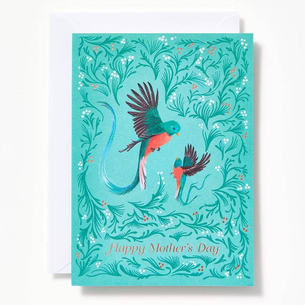 Mom and Baby Bird Mother's Day Card