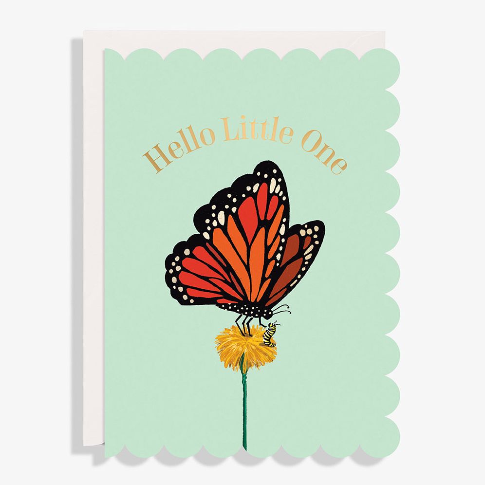Hello Little One Butterflies Baby Card