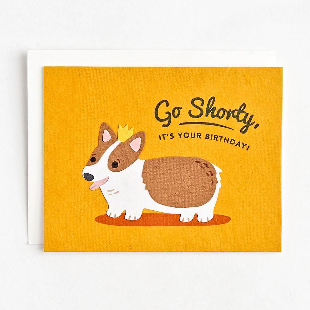 It's Your Birthday Corgi Greeting Card | Paper Source It's Your Birthday Corgi Greeting Card | Paper Source