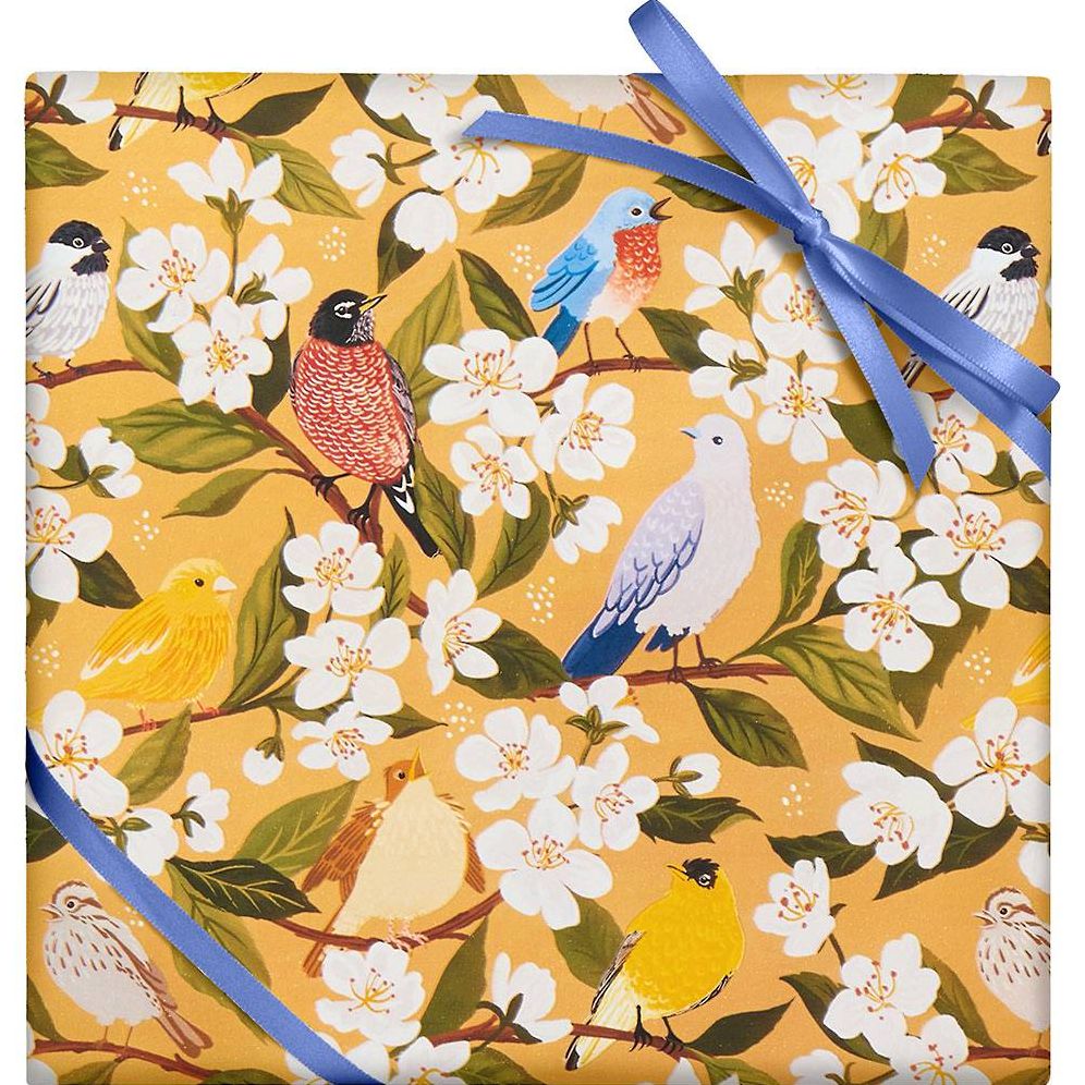 Songbirds & Blossoms Wrapping Paper