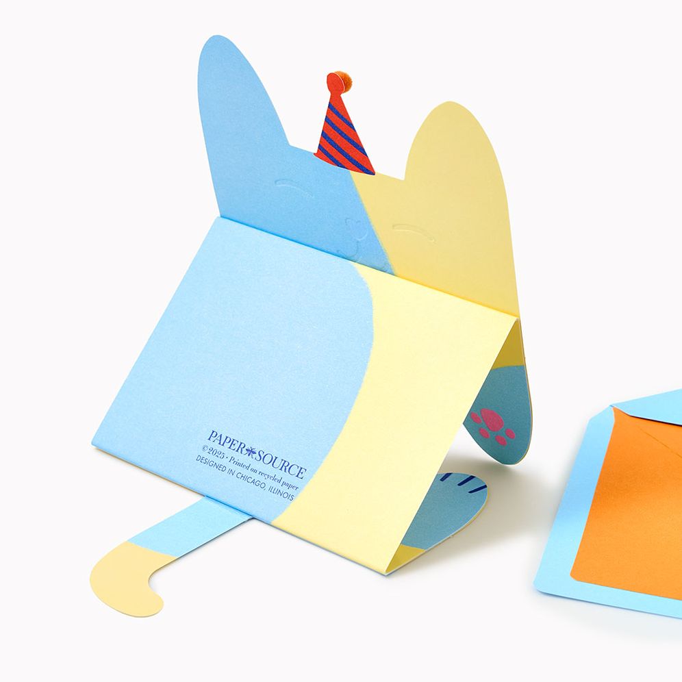 Folding Cat With Party Hat Embellished Birthday Card