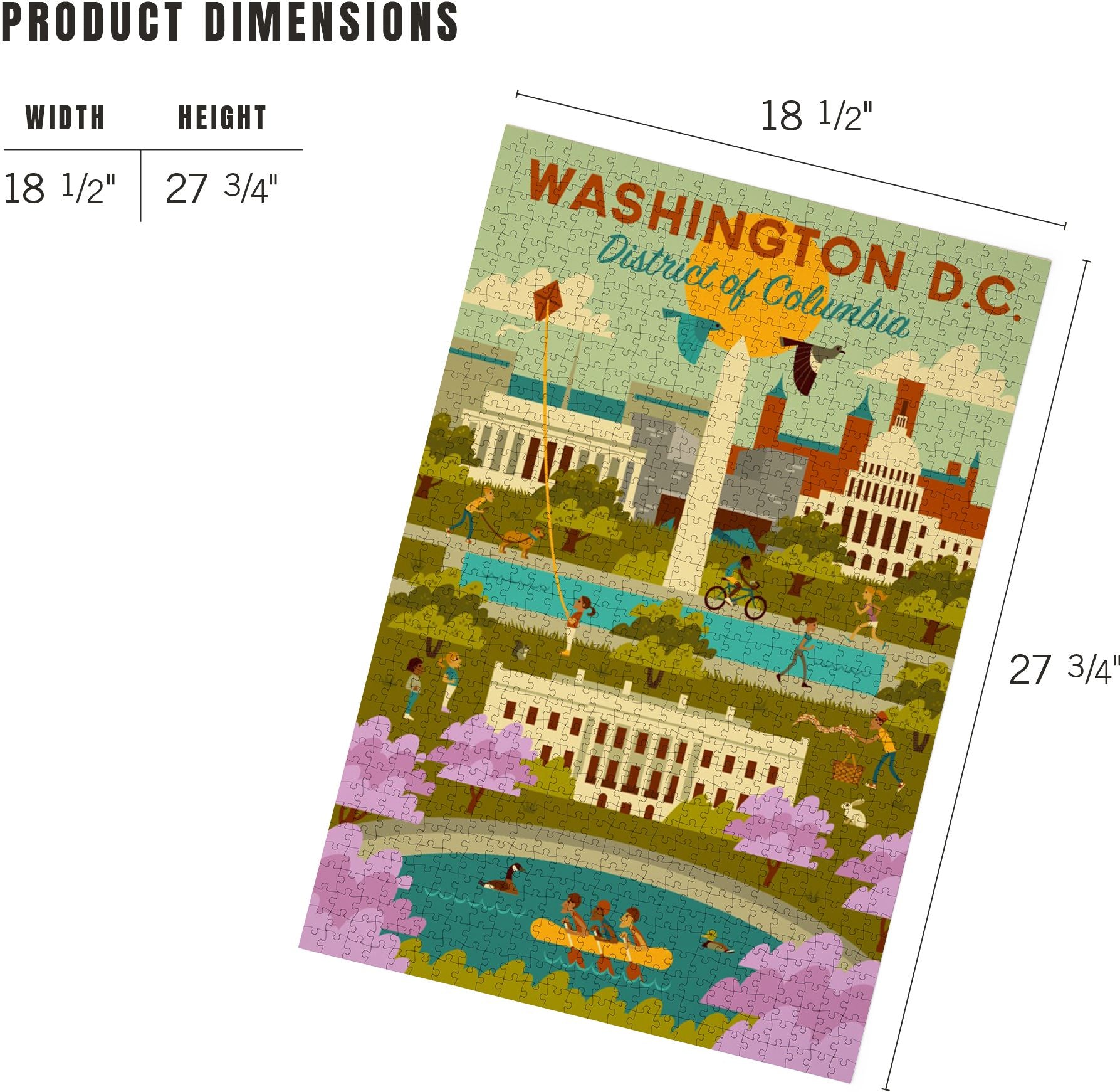 Washington DC Geometric Activities 1000 Piece Puzzle