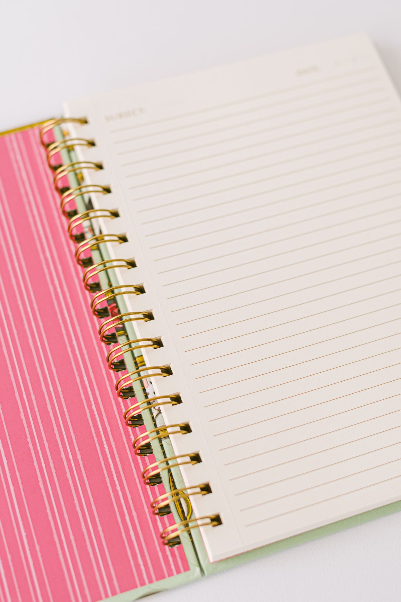 Mouse Cameo Spiral Notebook