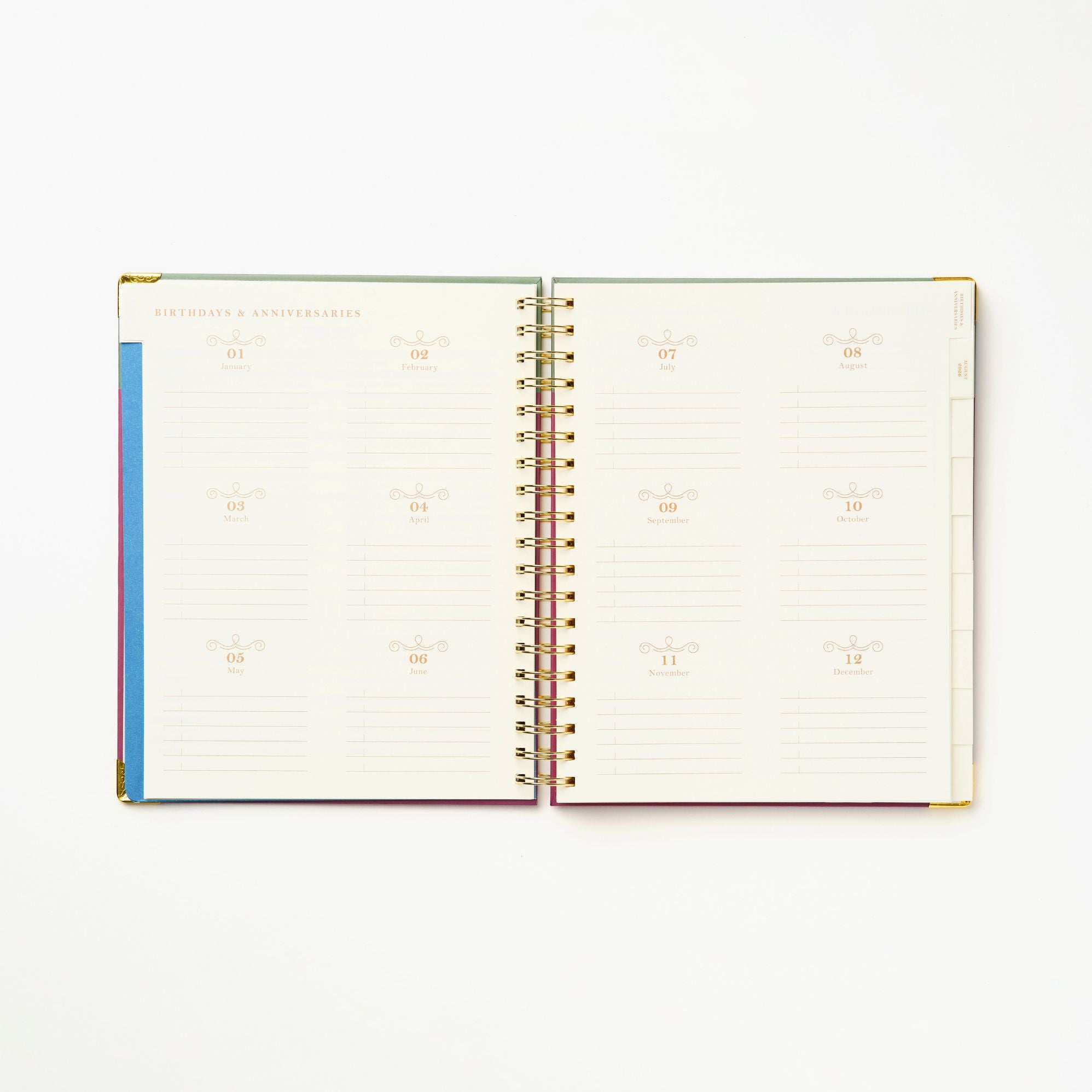 2026-2027 Sneaky Cat Bookshelf 17-Month Large Spiral Planner
