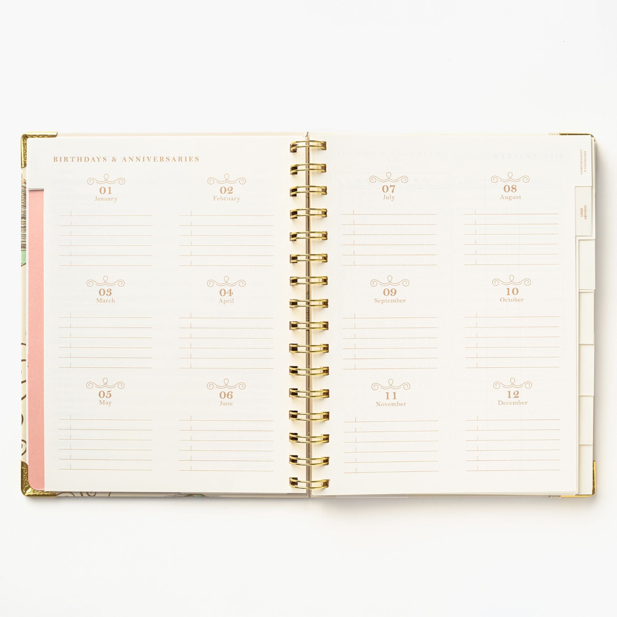2027 Bookstack Tea Cup 12-Month Weekly Medium Spiral Planner