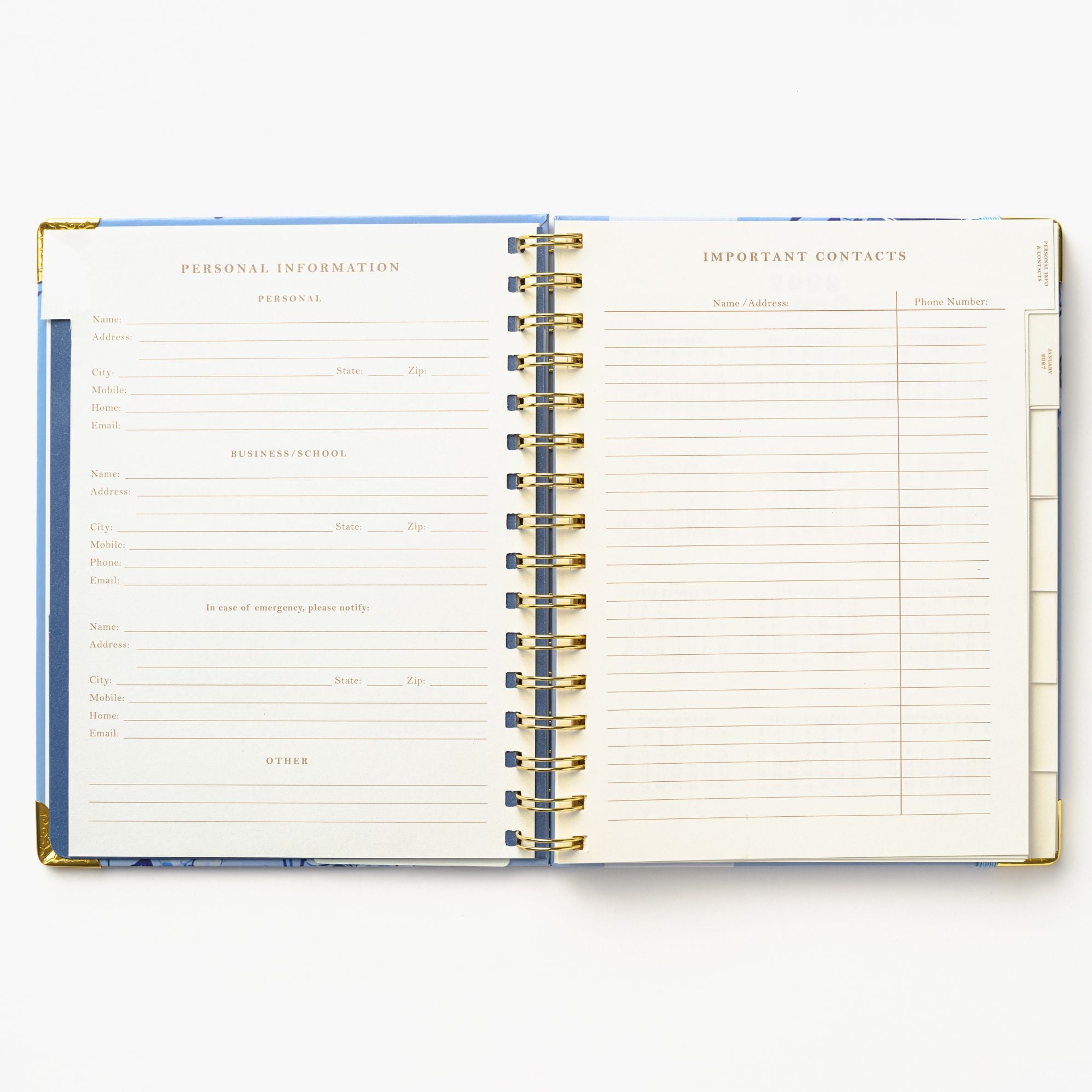 2027 Blue Toile Bird 12-Month Weekly Medium Spiral Planner