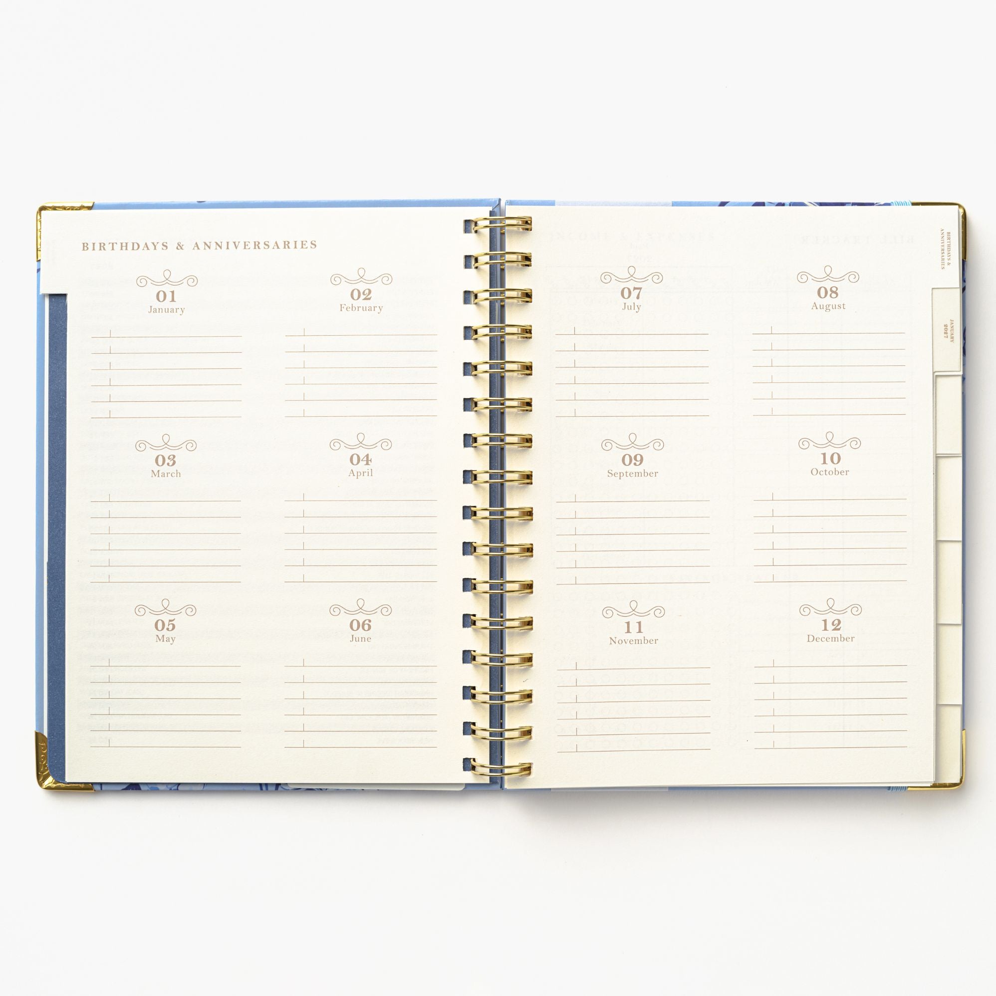 2027 Blue Toile Bird 12-Month Weekly Medium Spiral Planner