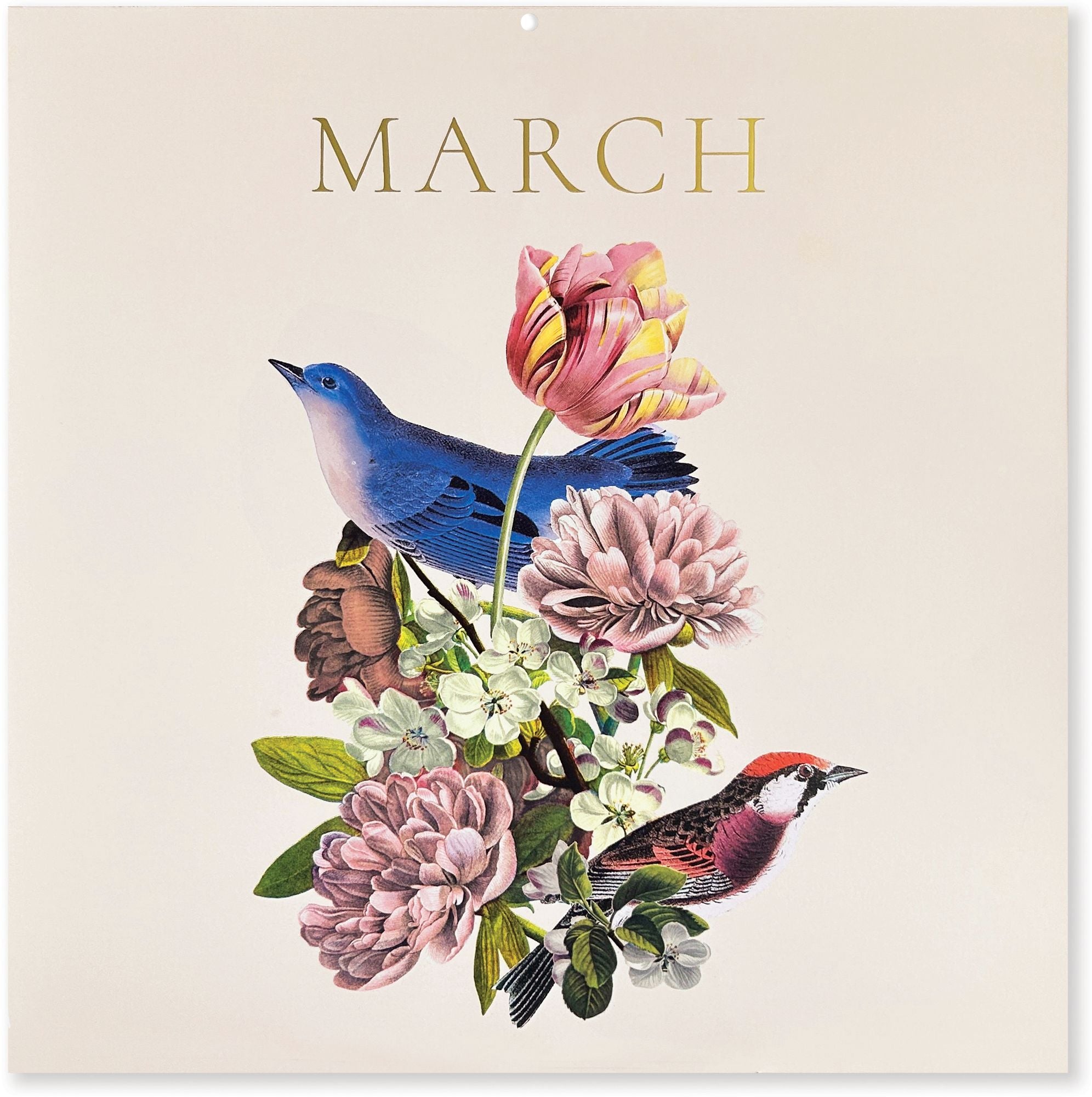 2027 Birds & Blooms Wall Calendar - Exclusive