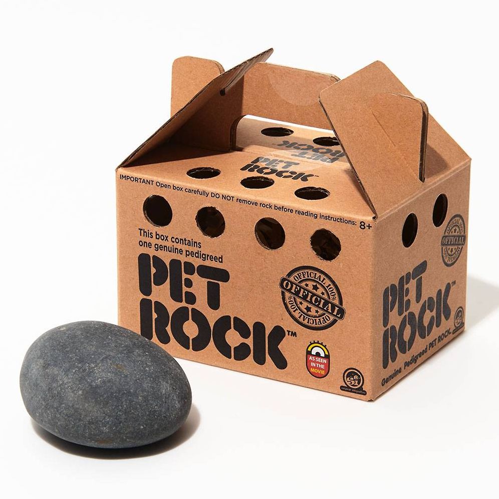 Original Classic Pet Rock | Paper Source