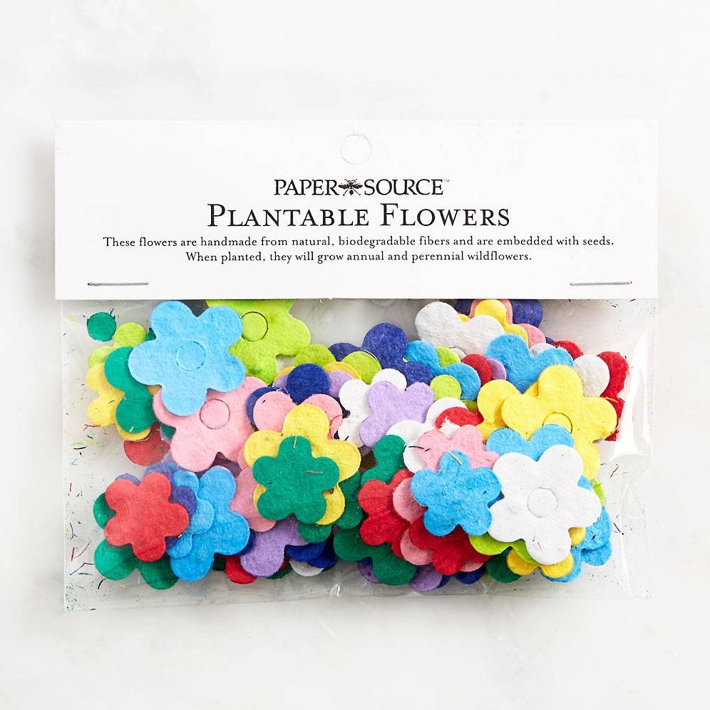 Plantable Flowers | Paper Source