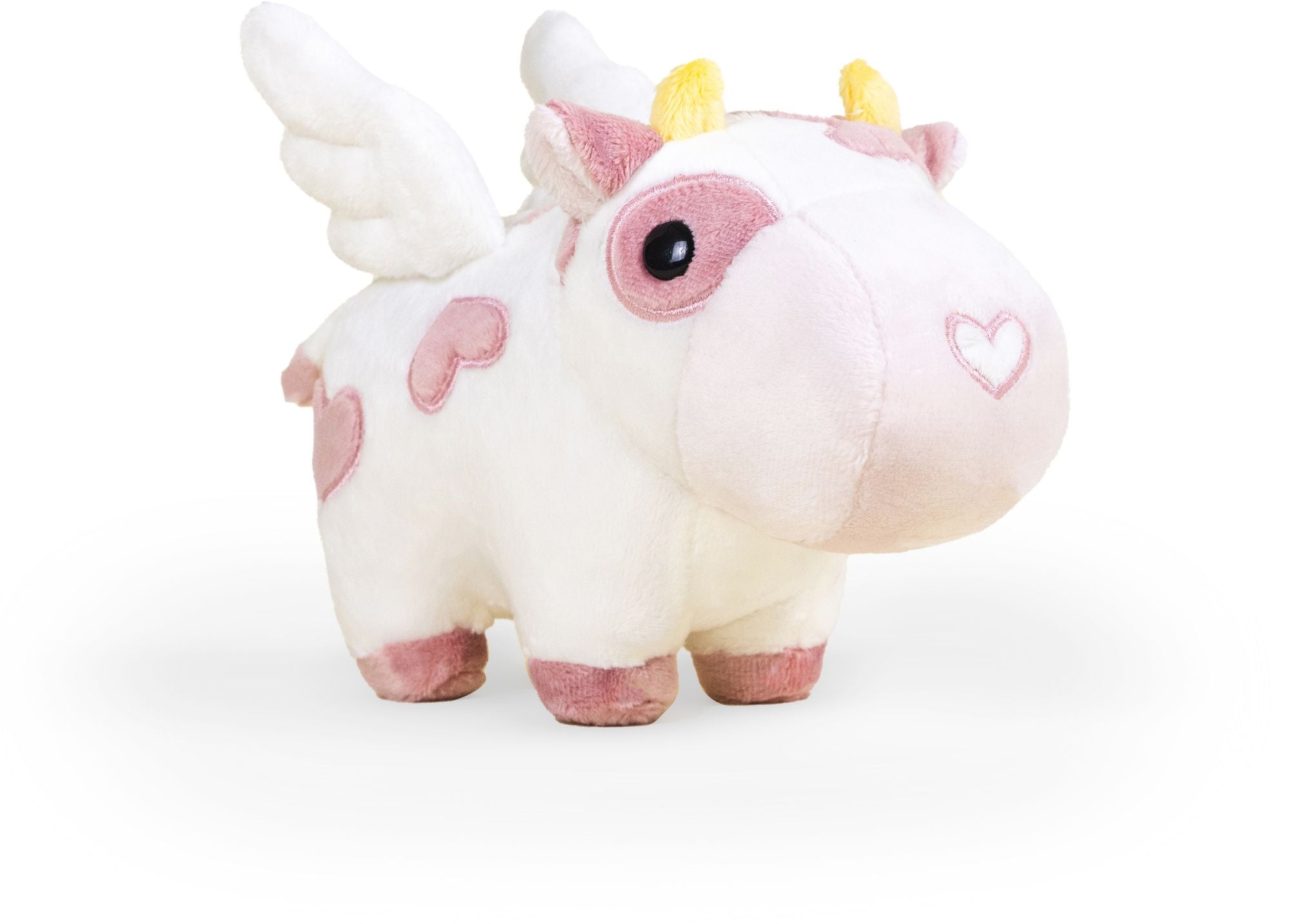 Mini Valentine's Mooi