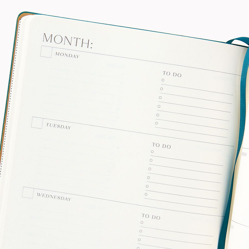 Sand Paper Wasp LG Undated Planner