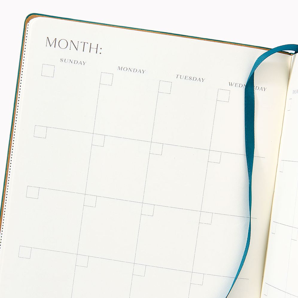 Teal Paper Wasp LG Undated Planner