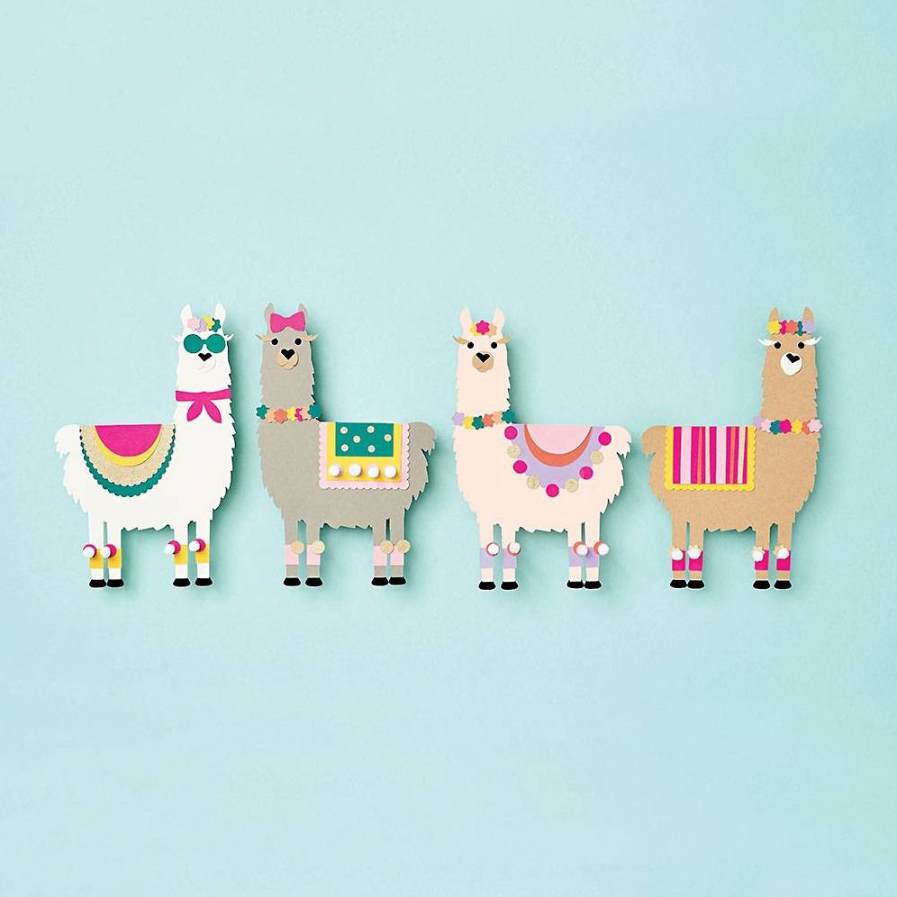 Floral Llama Kit | Paper Source