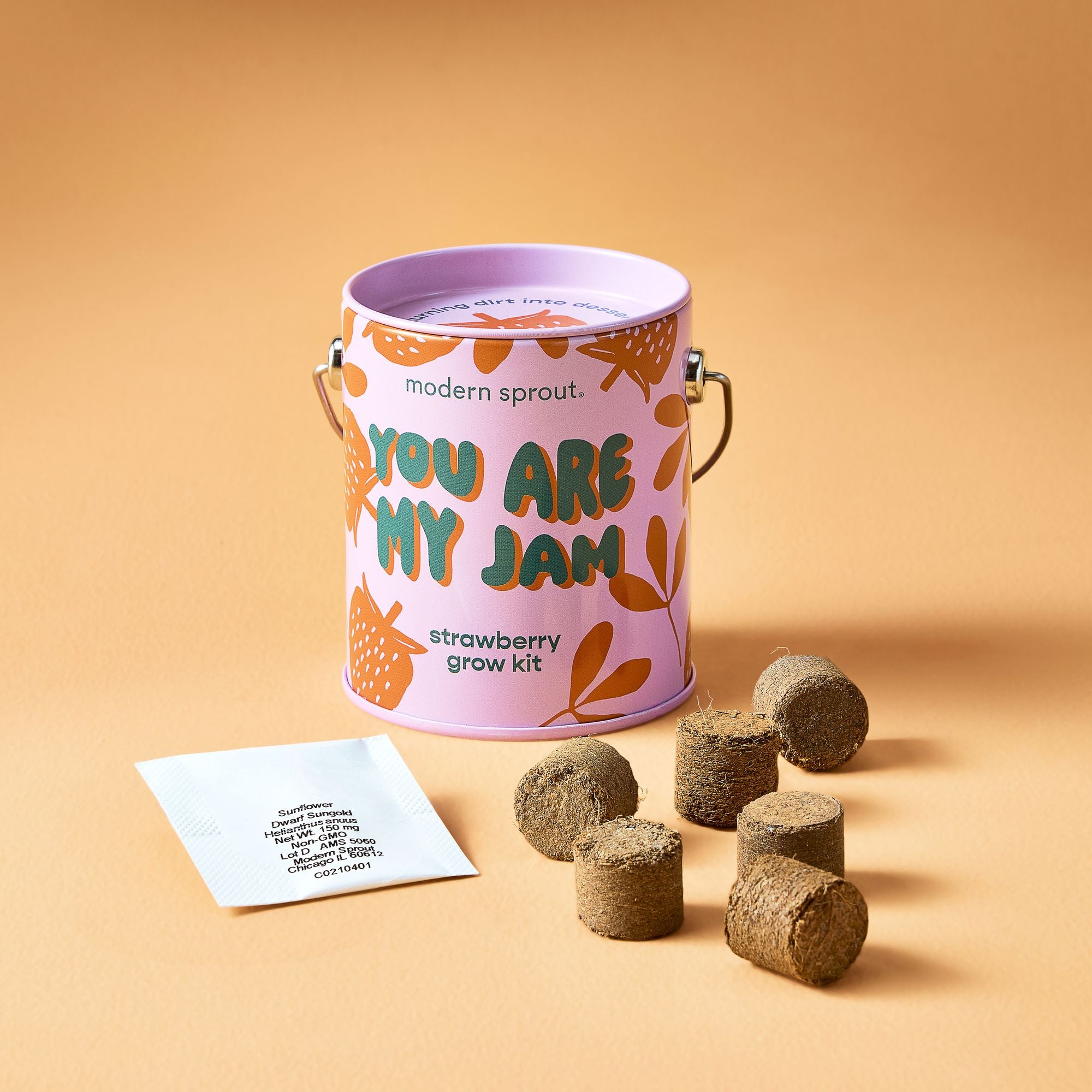 Complimentary Color Grow Kit - Strawberry