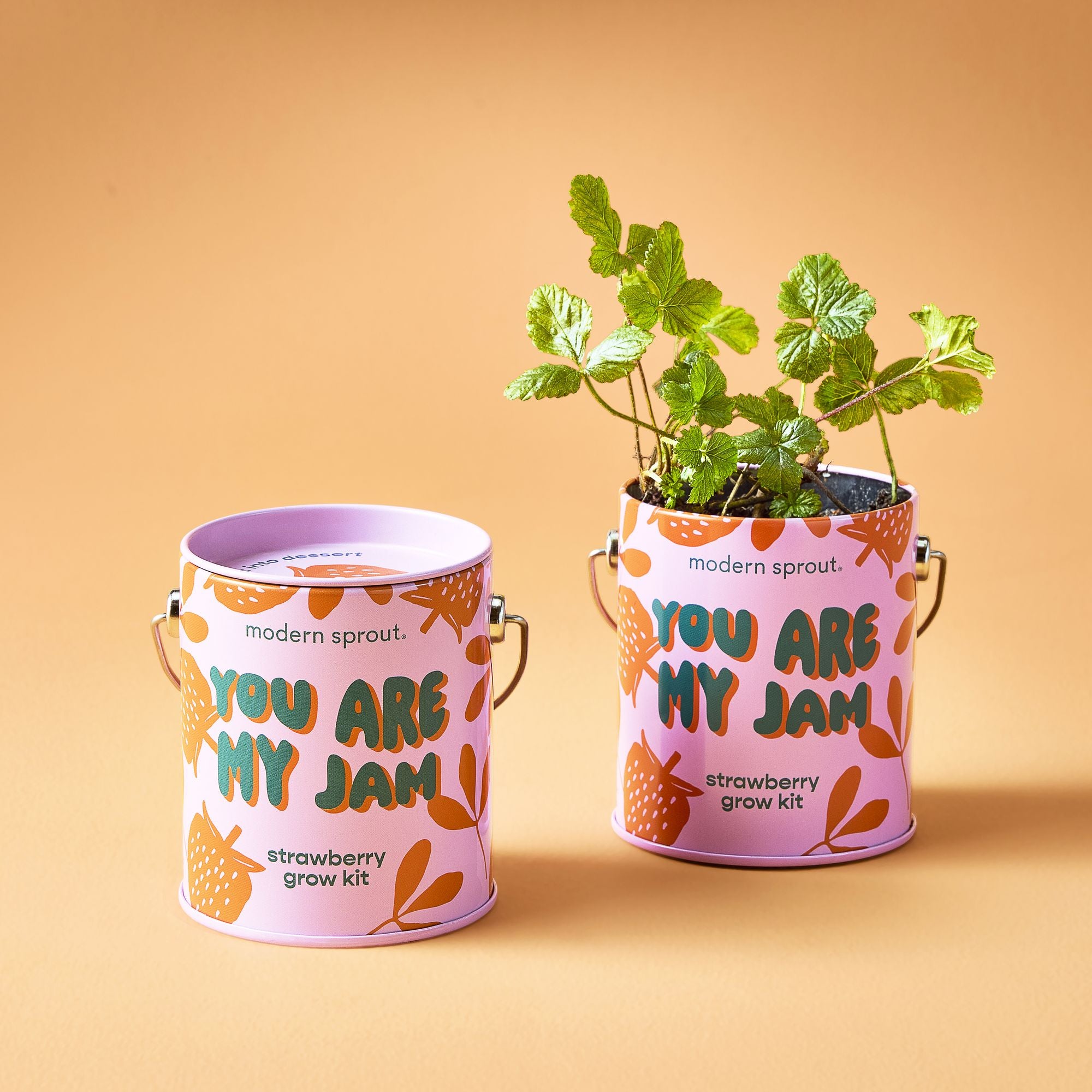 Complimentary Color Grow Kit - Strawberry