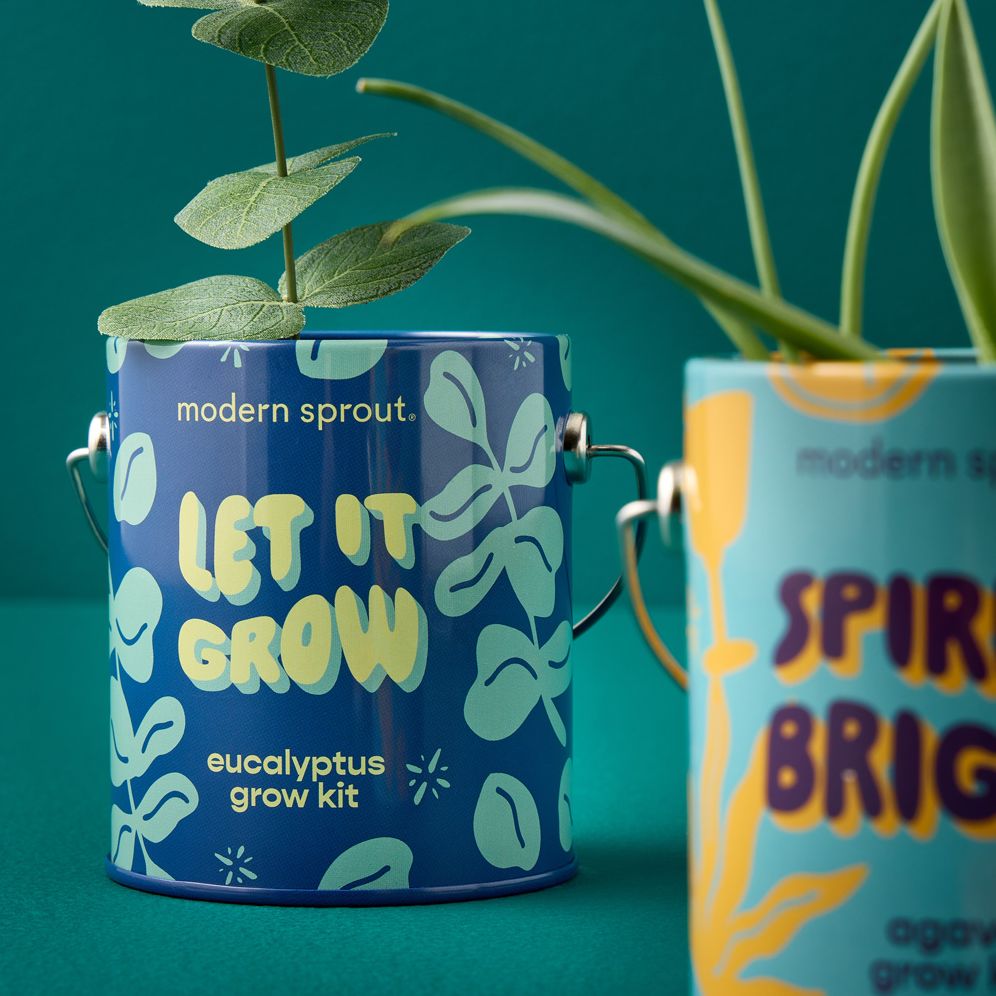 Complimentary Color Grow Kit - Let it Grow - Eucalyptus