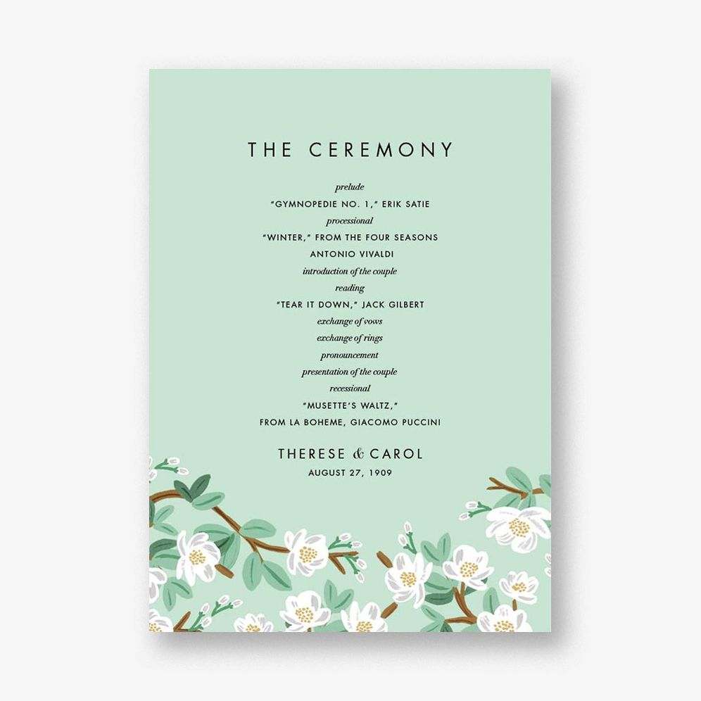 Tea Tree Program | Paper Source