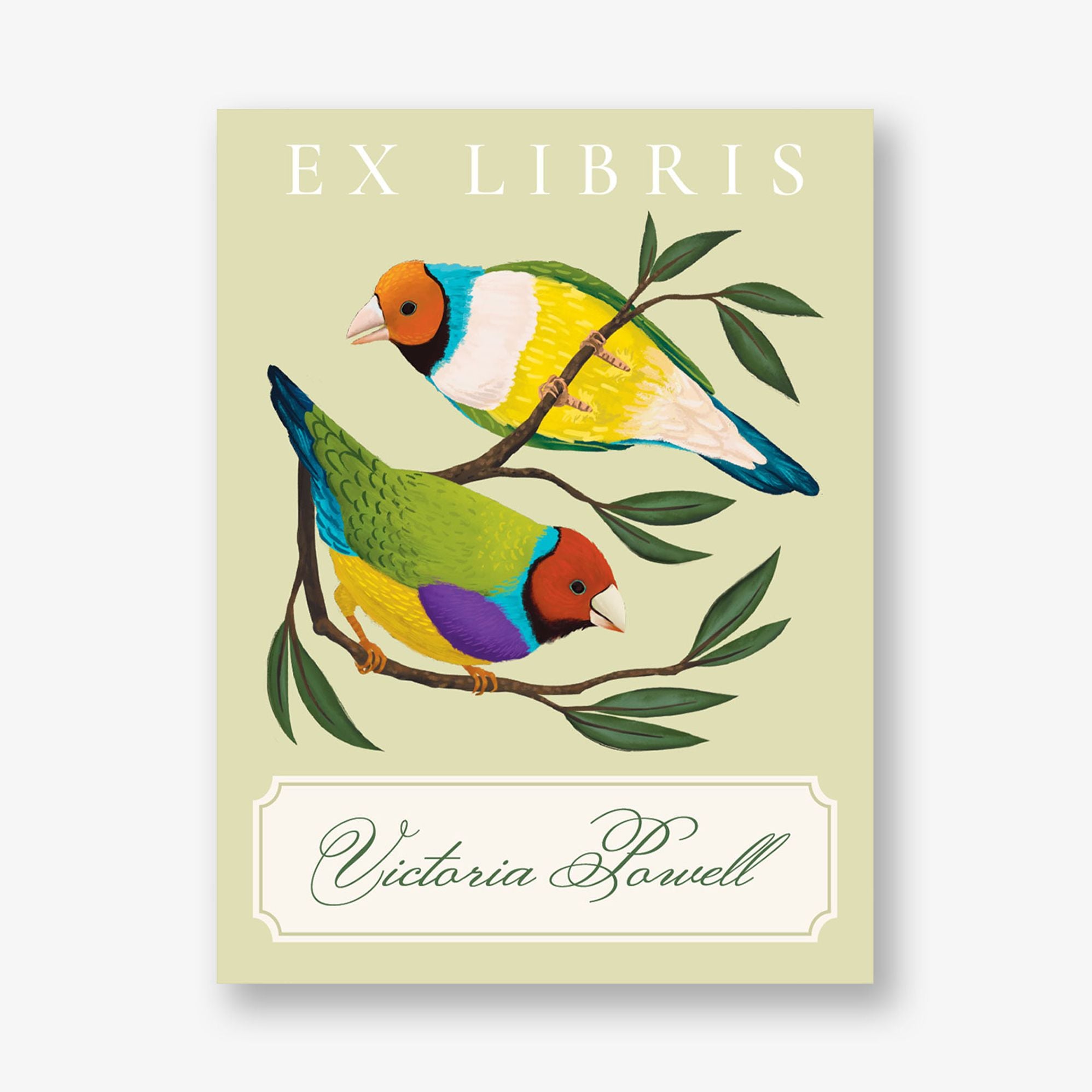 Colorful Finches Adhesive Bookplates