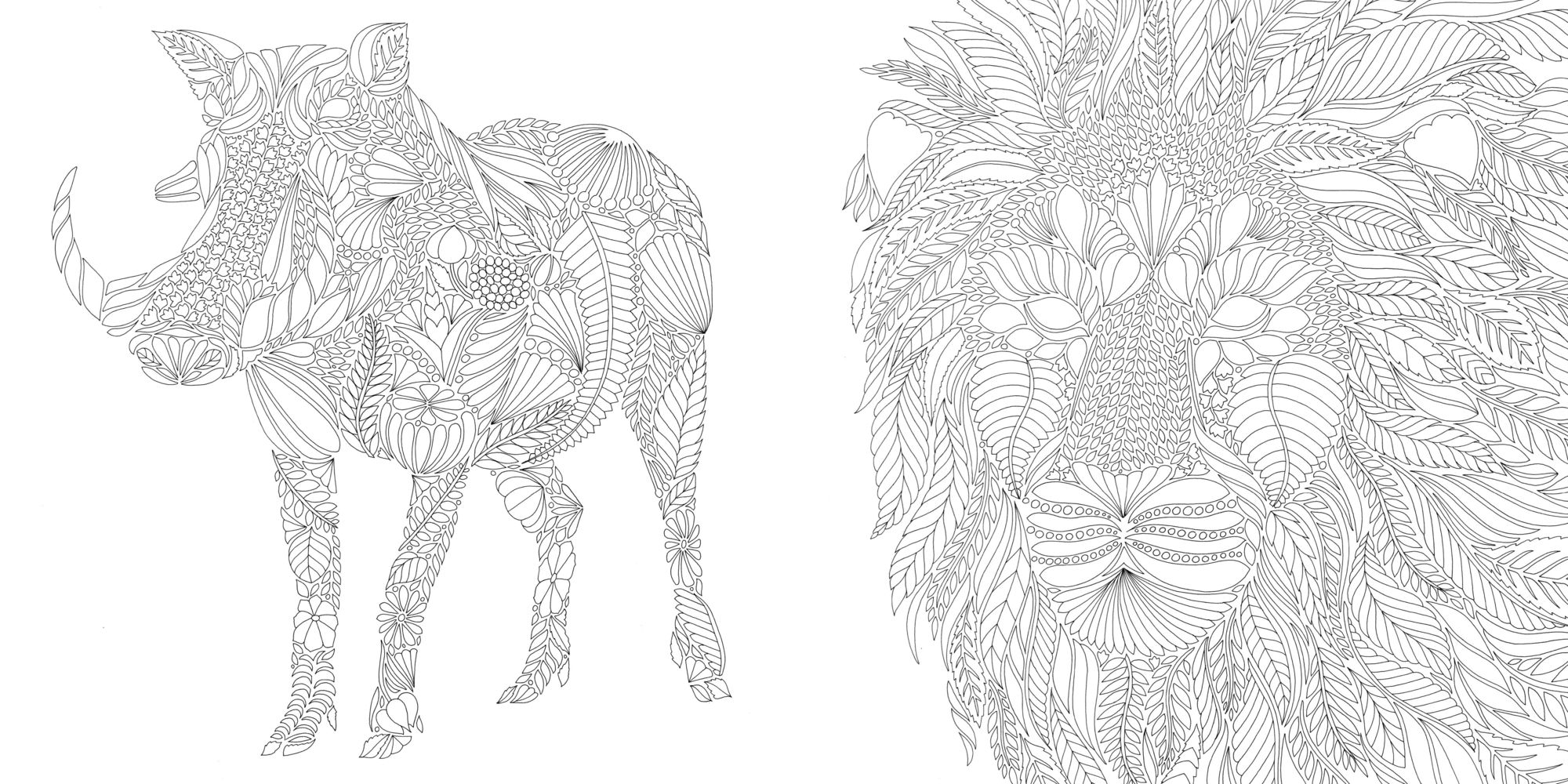 Wild Savannah: A Coloring Book Adventure