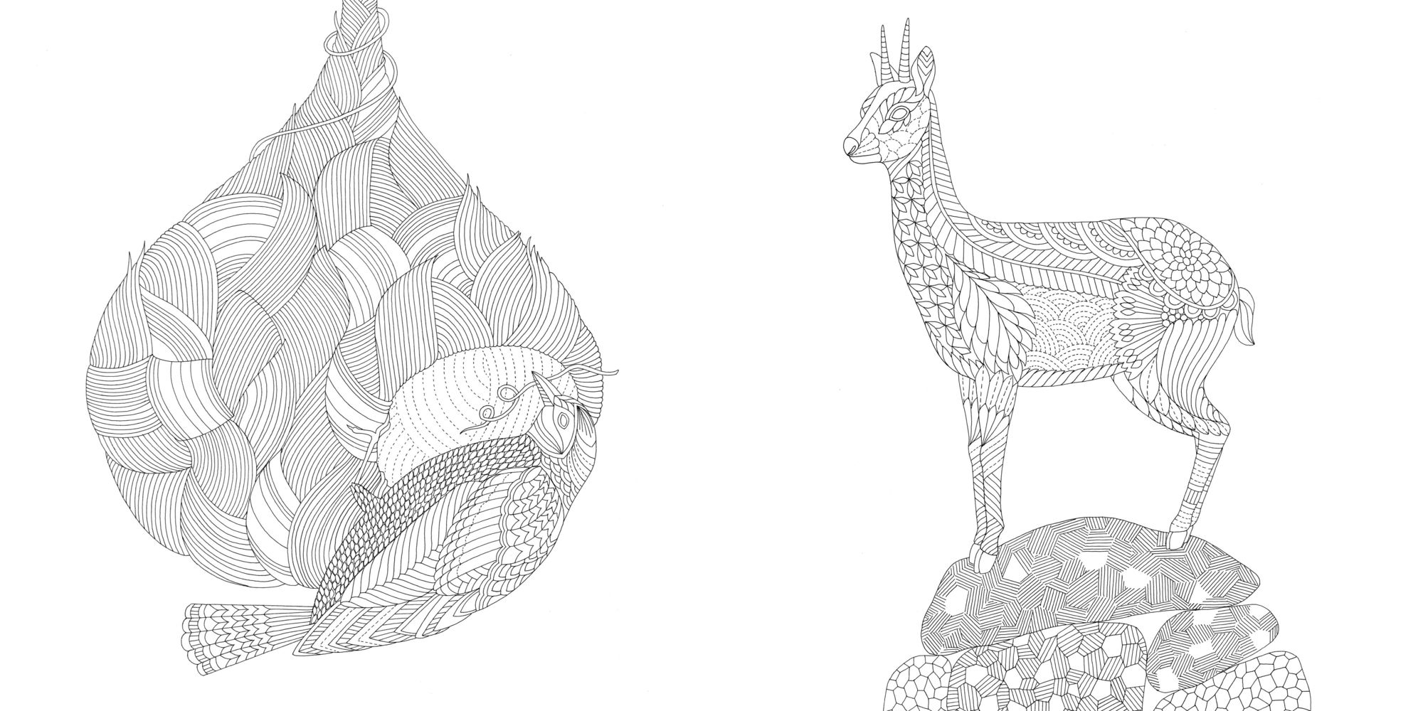 Wild Savannah: A Coloring Book Adventure