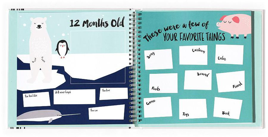 Baby's First Year - Boy