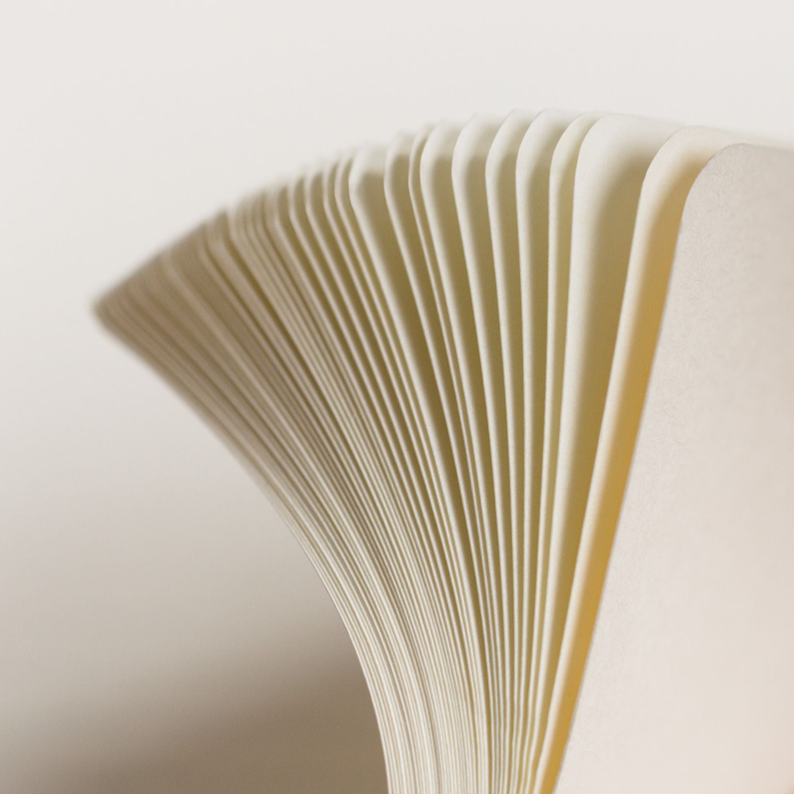 Leuchtturm Black Dotted Page Softcover Composition Notebook