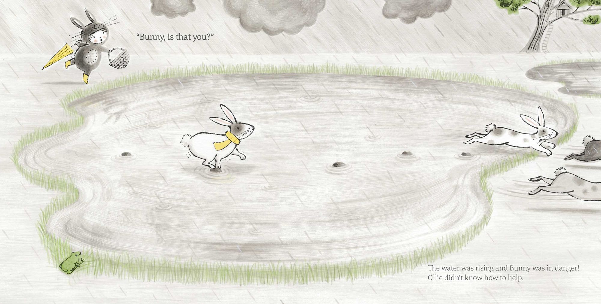 The Little Rabbit