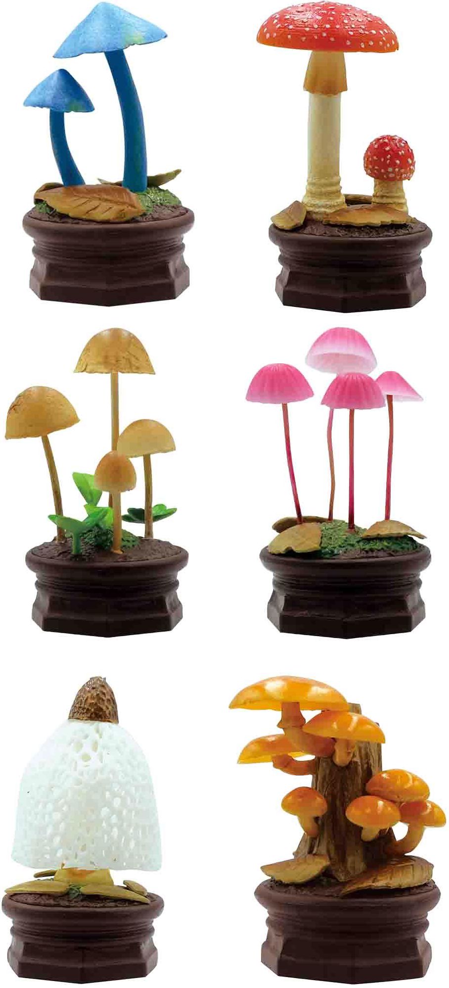Mushroom Blind Box Assortment | Paper Source