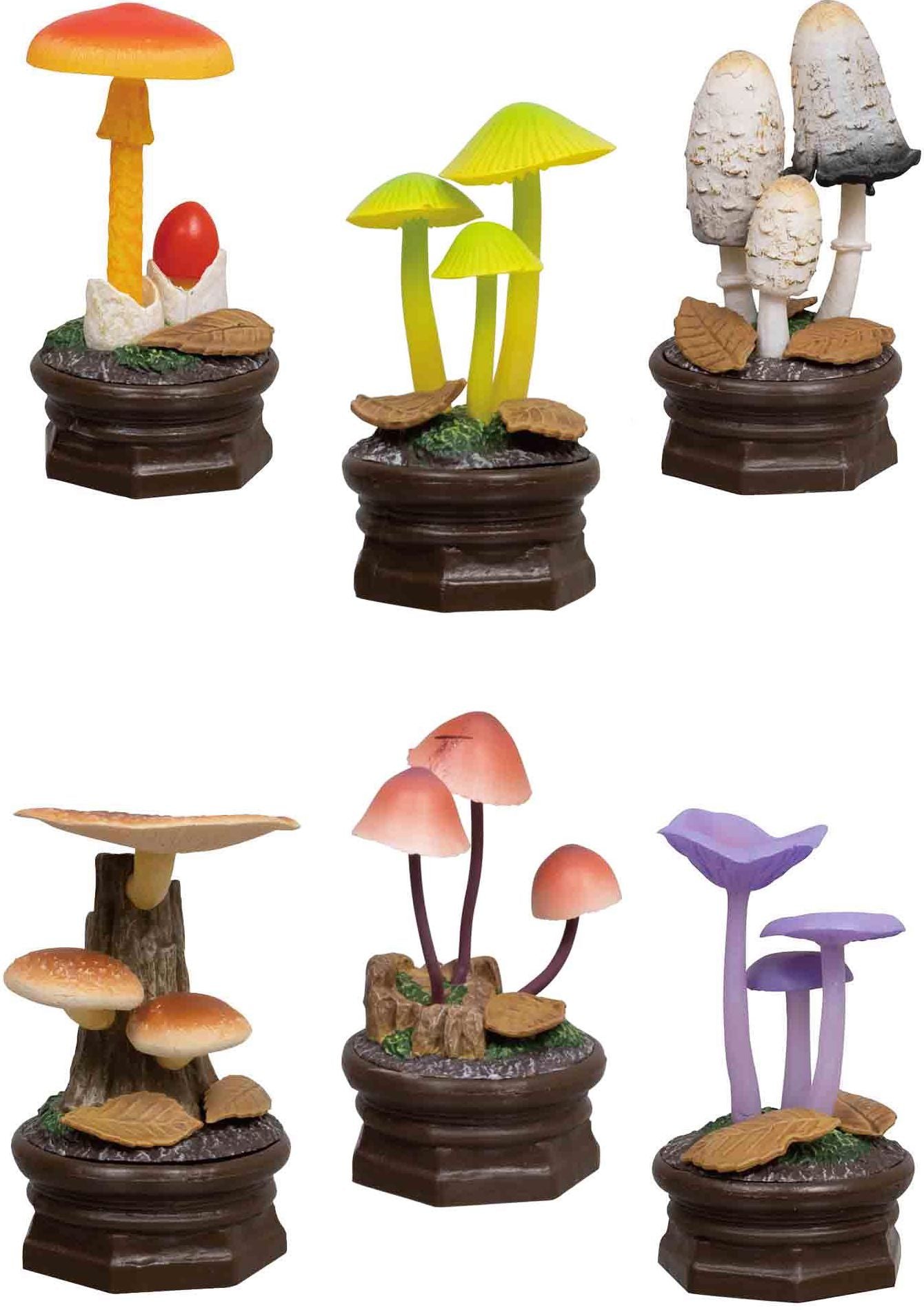 Mushroom Blind Box Assortment