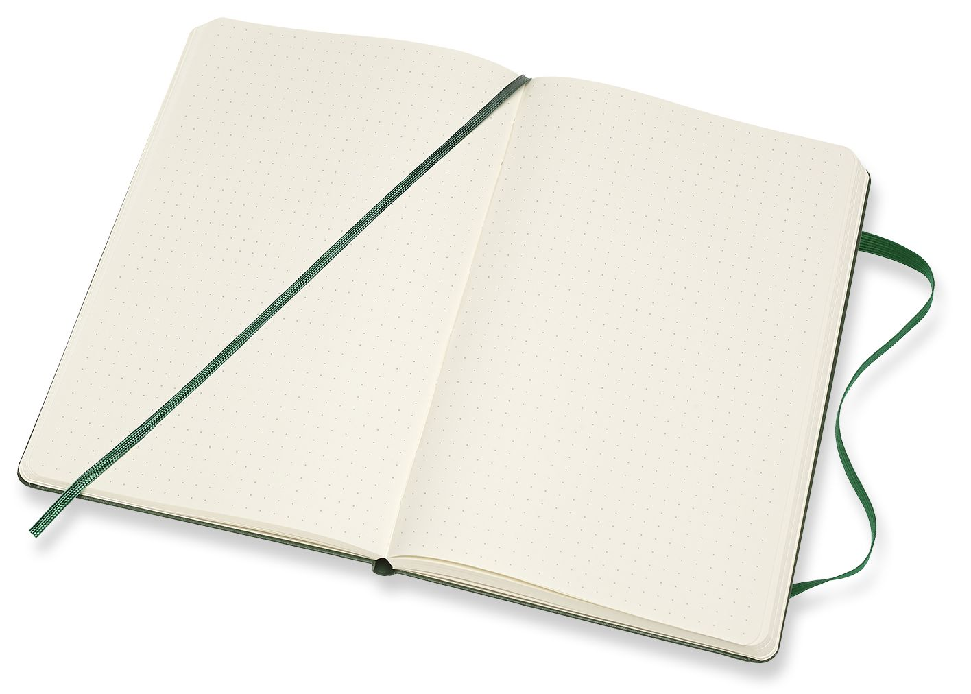 Moleskine Notebook, Large, Dotted, Myrtle Green, Hard (5 x 8.25)