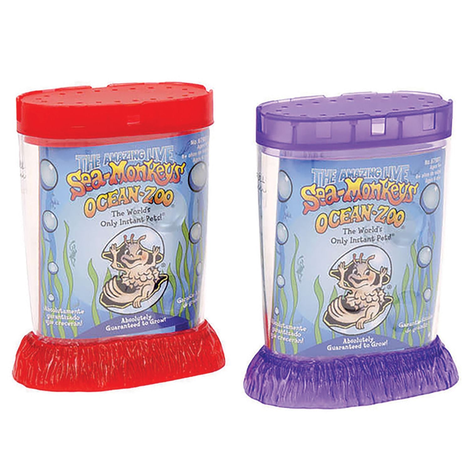Sea Monkey Ocean Zoo Assorted PDQ