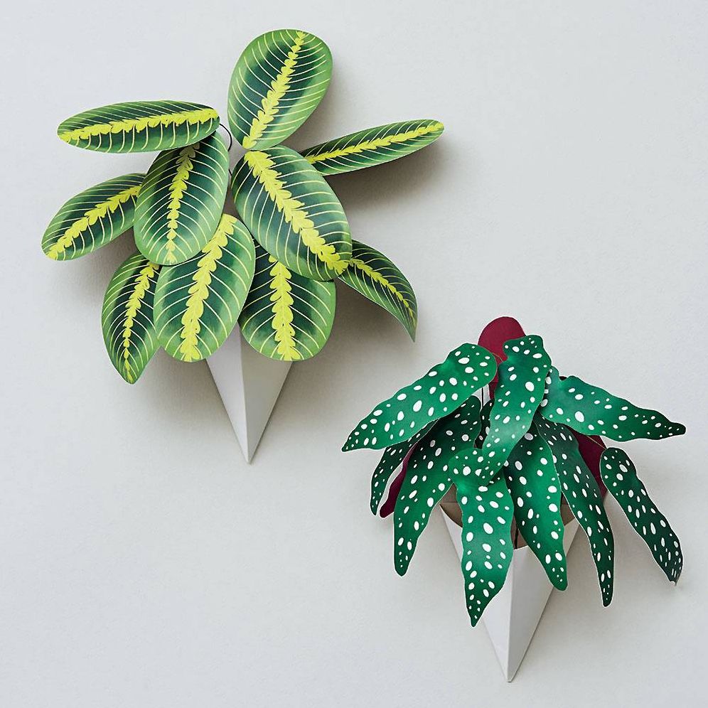 hanging plants cut out Potted Hanging Plants Craft Kit