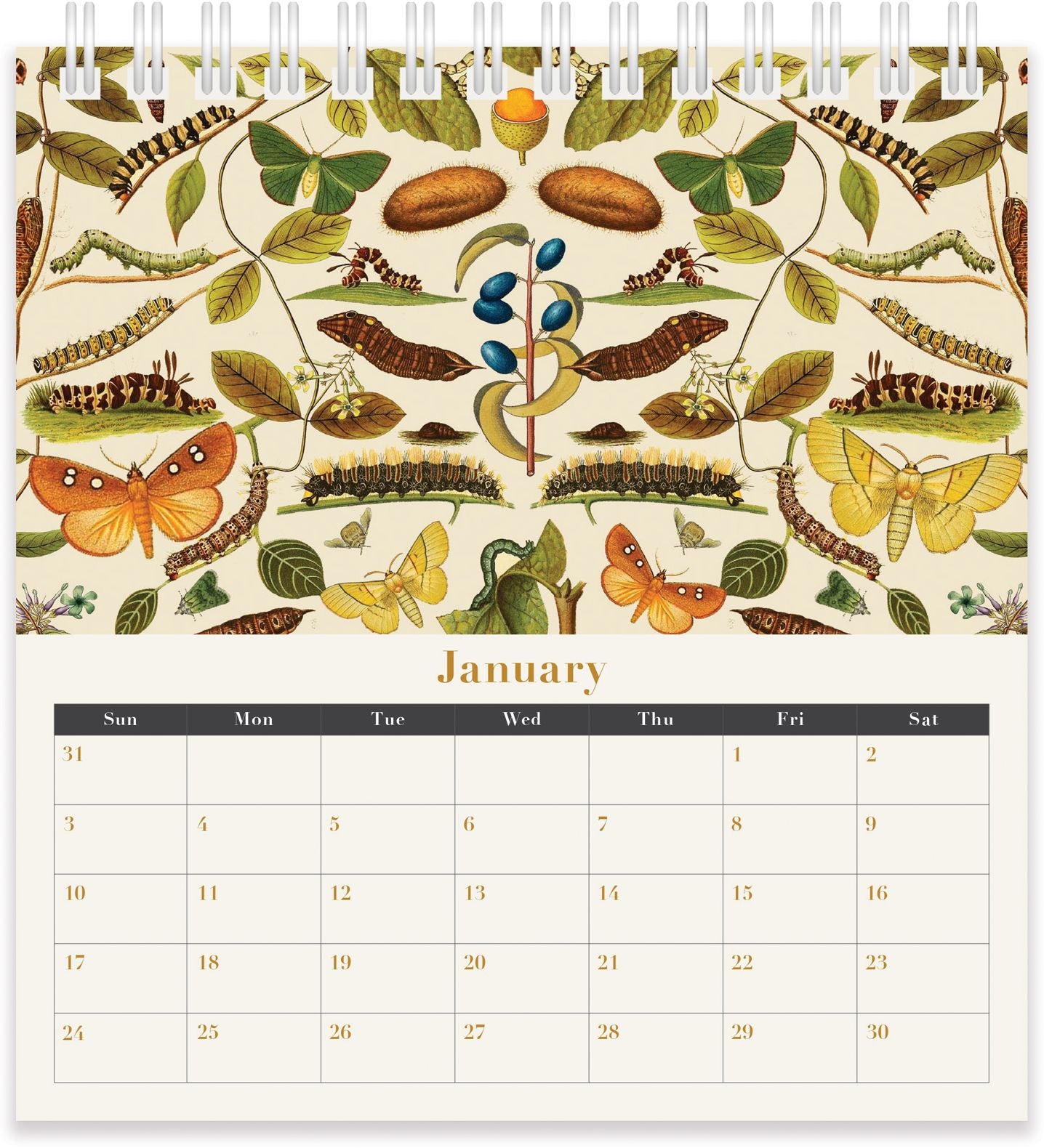 2027 Archive Desk Calendar