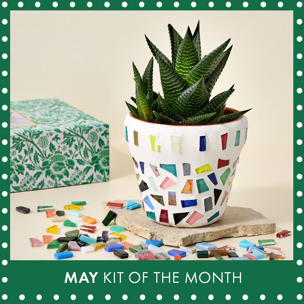 DIY Mosaic Planter Kit