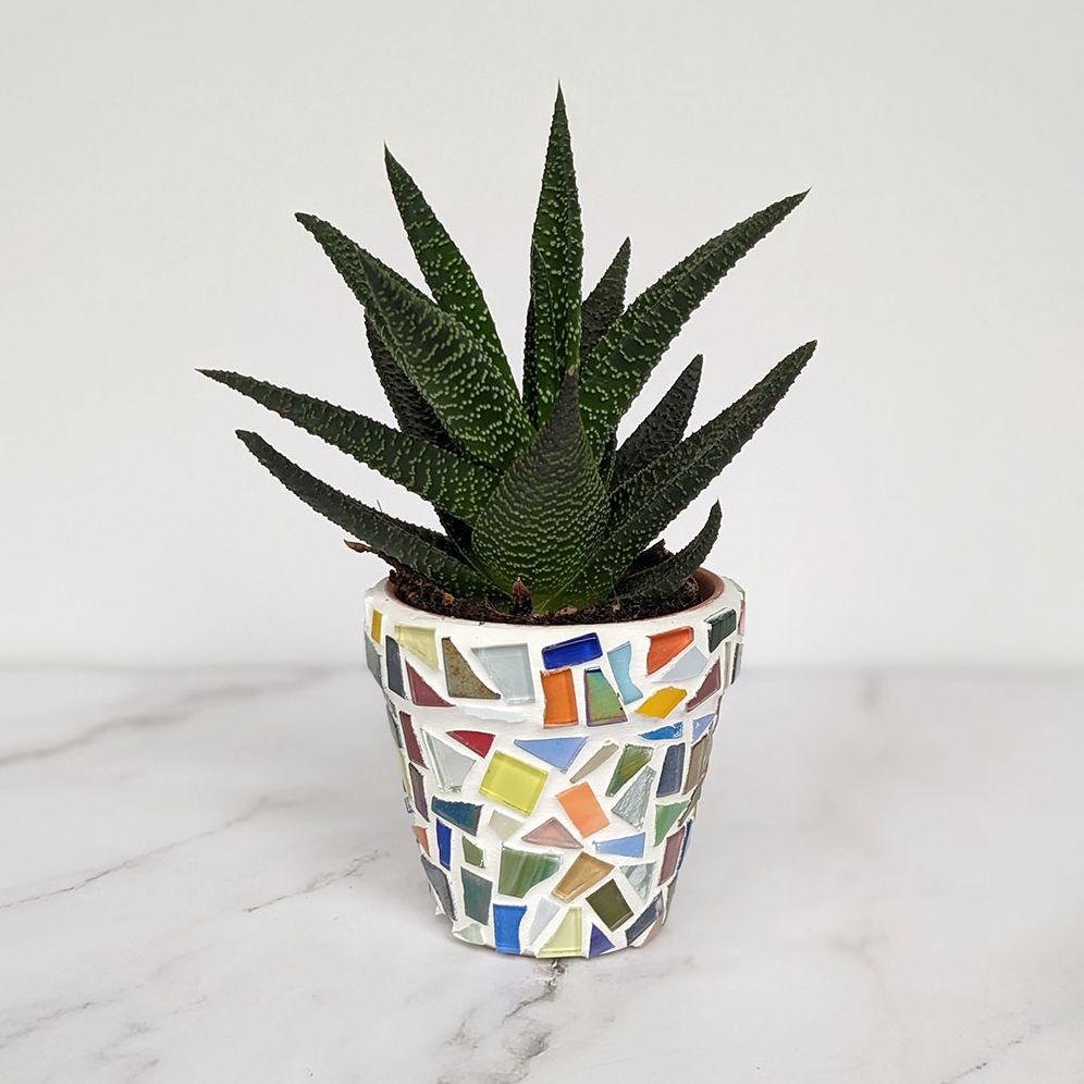DIY Mosaic Planter Kit