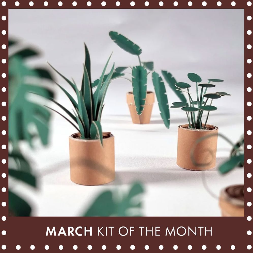 Paper Plants
