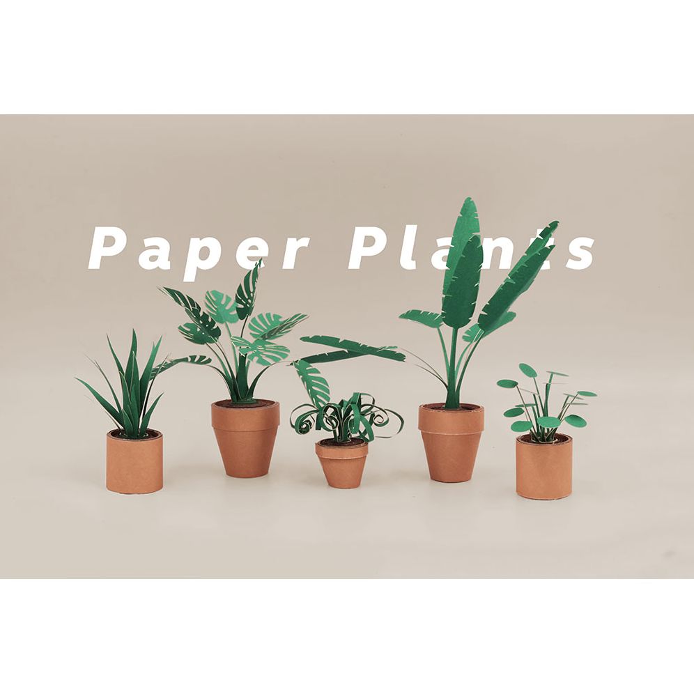 Paper Plants