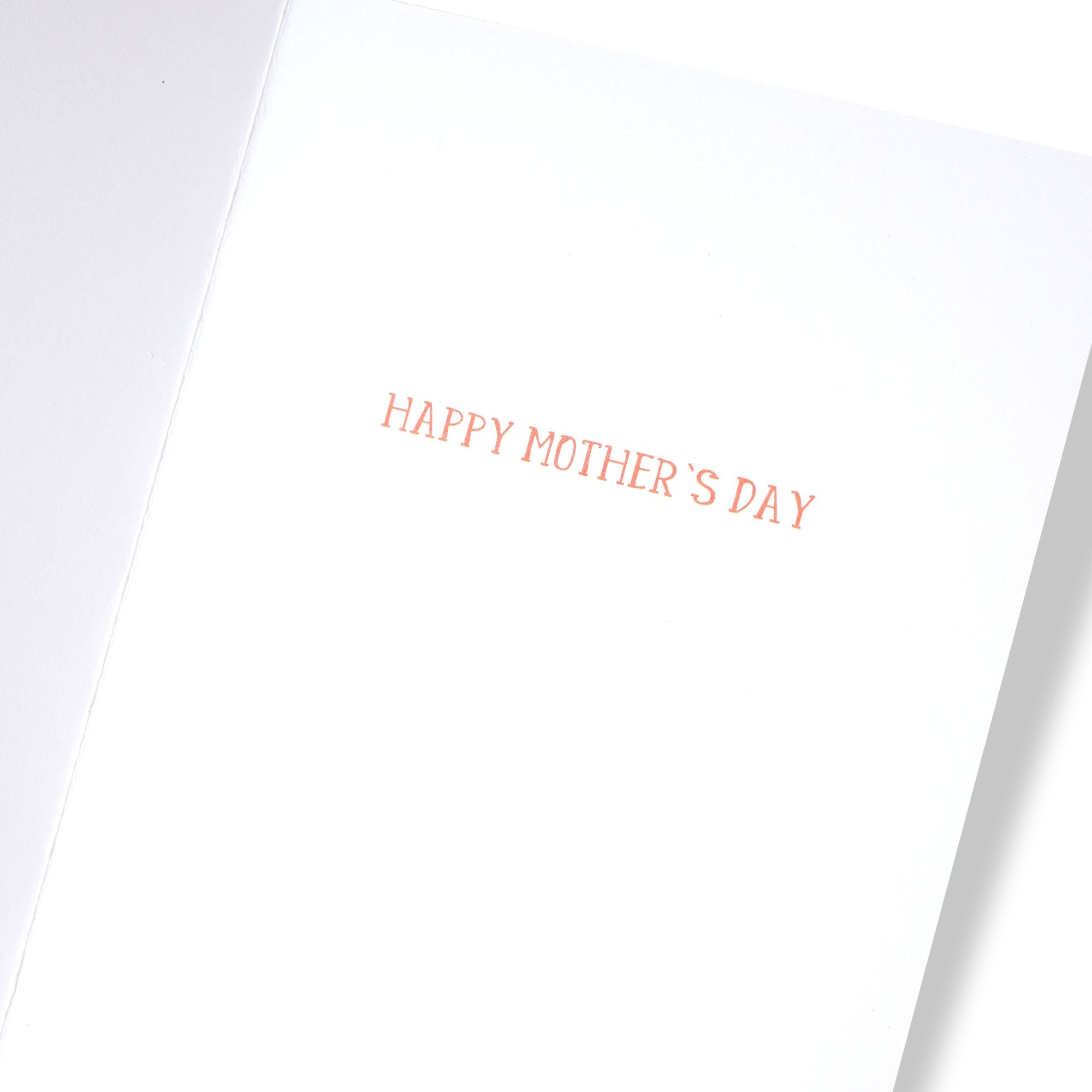 Mother's Day Greeting Card Best Hug Fox