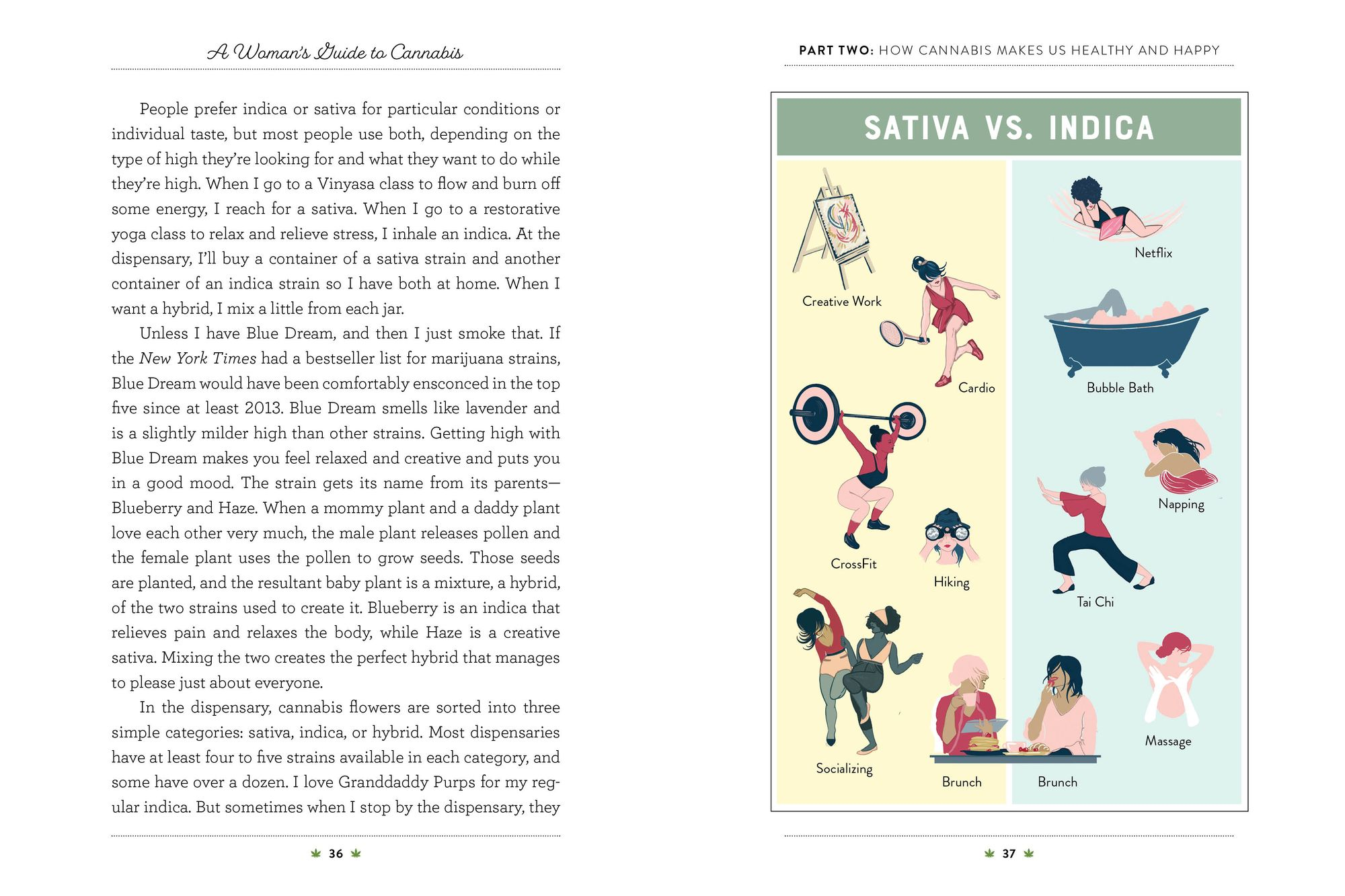 A Woman's Guide to Cannabis: Using Marijuana to Feel Better, Look Better, Sleep Better-and Get High Like a Lady
