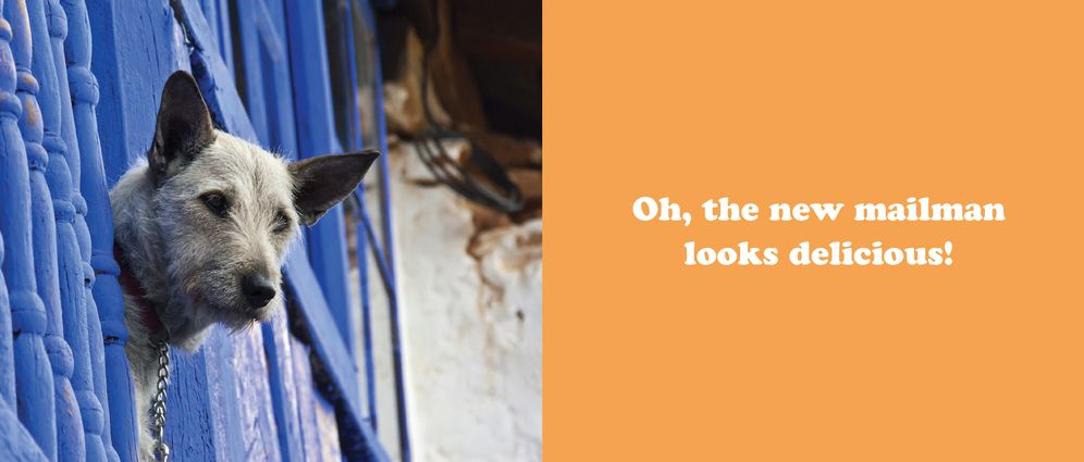 The Secret Thoughts of Dogs